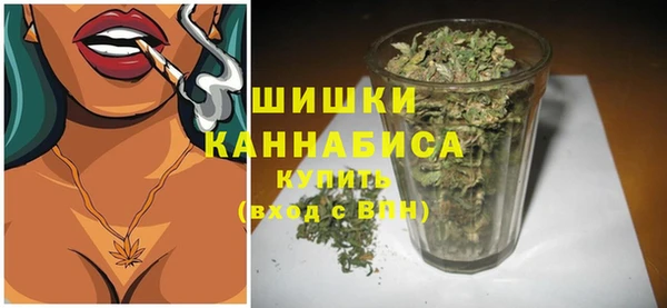 твердый Инта