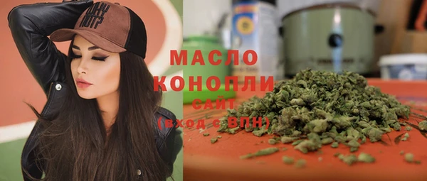 твердый Инта