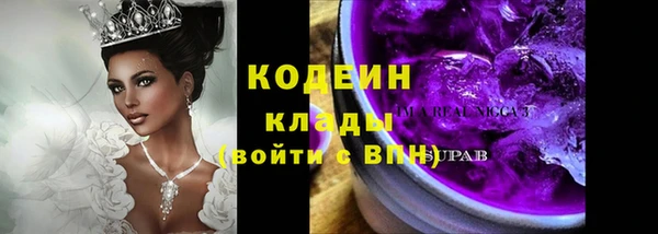 твердый Инта
