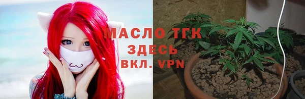 ПСИЛОЦИБИНОВЫЕ ГРИБЫ Инсар
