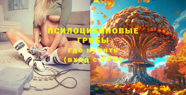 ПСИЛОЦИБИНОВЫЕ ГРИБЫ Инсар