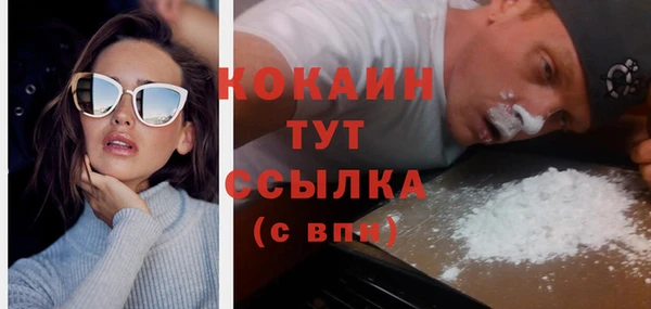 ПСИЛОЦИБИНОВЫЕ ГРИБЫ Инсар