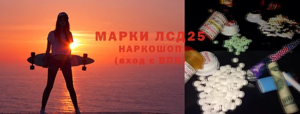 ПСИЛОЦИБИНОВЫЕ ГРИБЫ Инсар