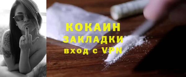 ПСИЛОЦИБИНОВЫЕ ГРИБЫ Инсар