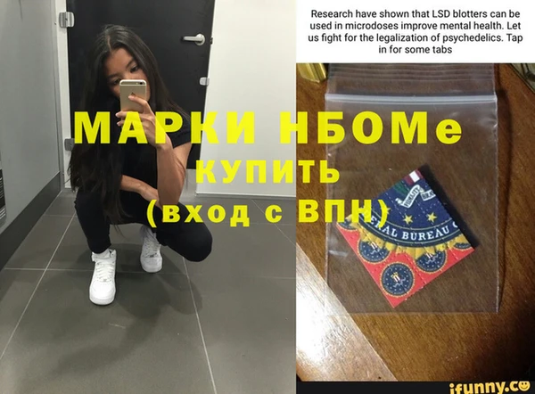 твердый Инта