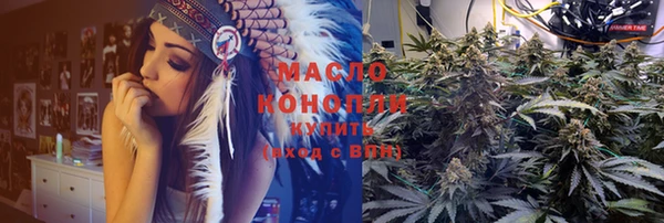 твердый Инта