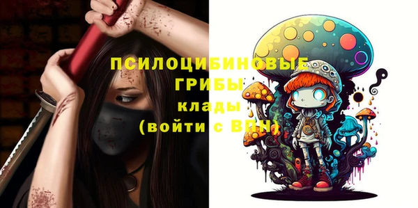 твердый Инта