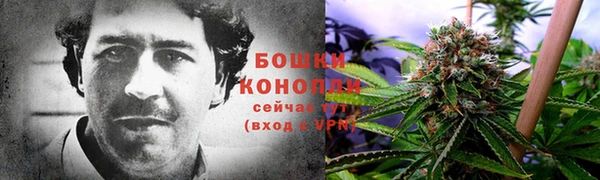 ПСИЛОЦИБИНОВЫЕ ГРИБЫ Инсар
