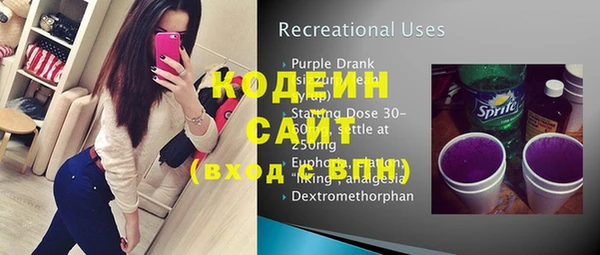 ПСИЛОЦИБИНОВЫЕ ГРИБЫ Инсар