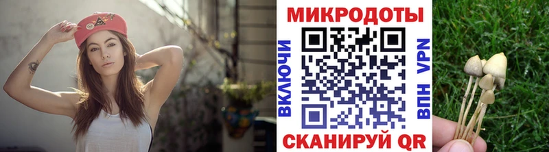 blacksprut ONION Ивдель Псилоцибиновые грибы Psilocybe