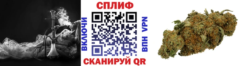 Канабис индика  Ивдель 